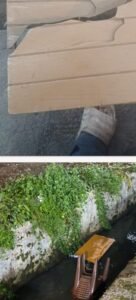 IMG-20260212-WA0008(1)