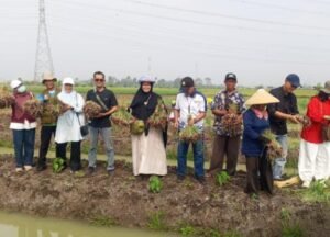 IMG-20260821-WA0087